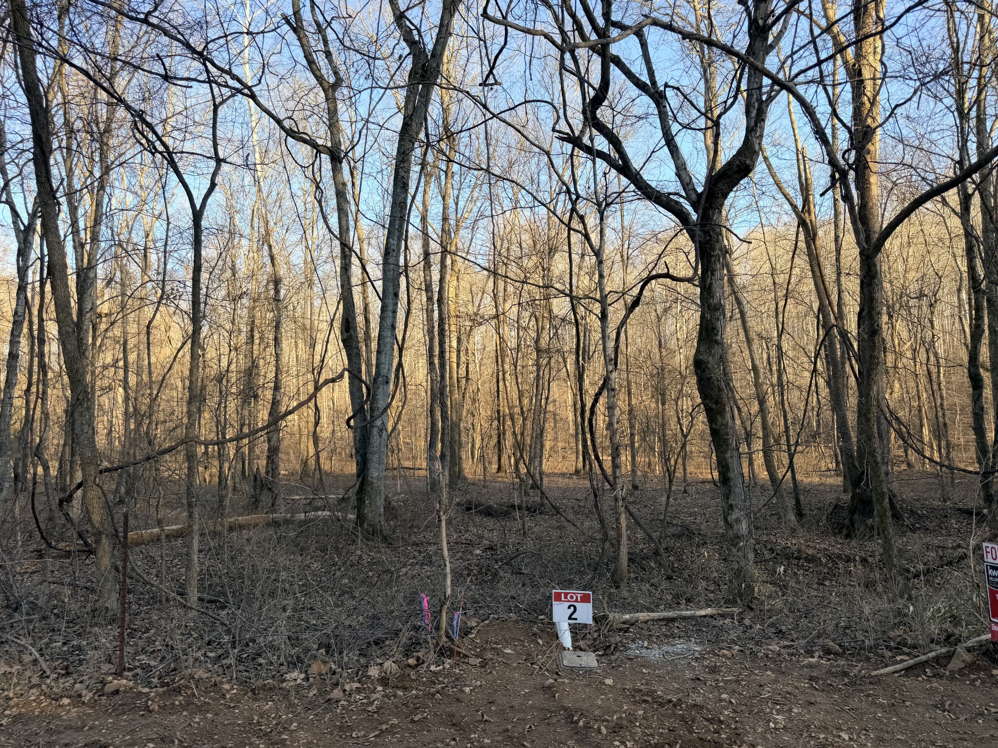 2 John Ross Hollow Road Erin, TN 37061 - Photo 26 of 36 a backyard of a house with lots of green space
