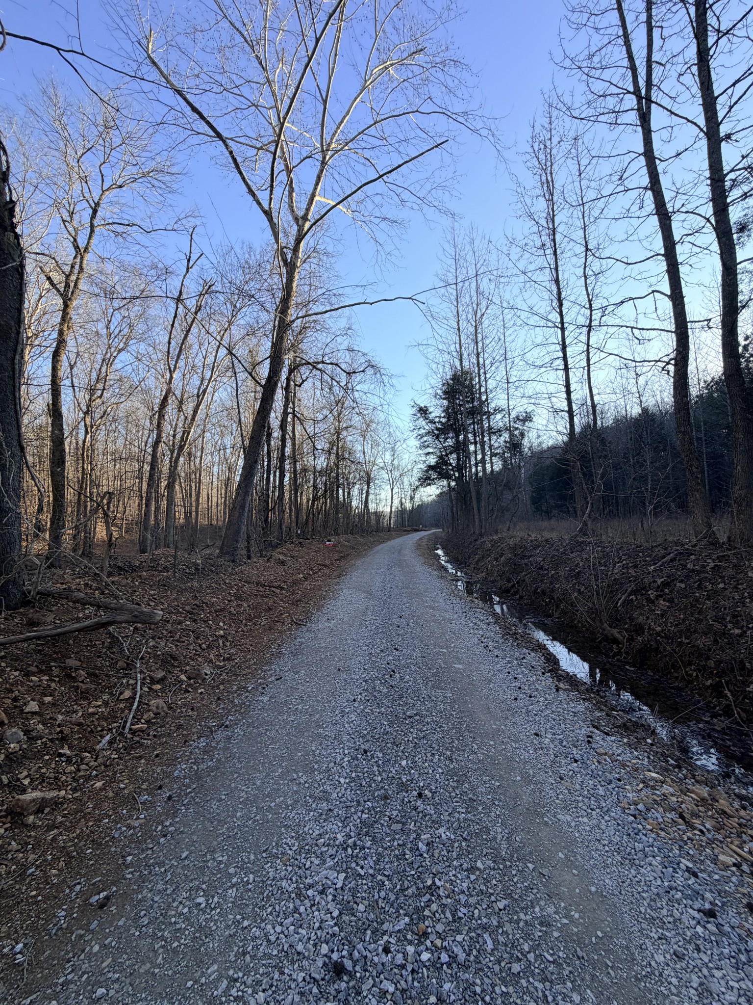2 John Ross Hollow Road Erin, TN 37061 - Photo 27 of 36 a backyard of a house with lots of green space