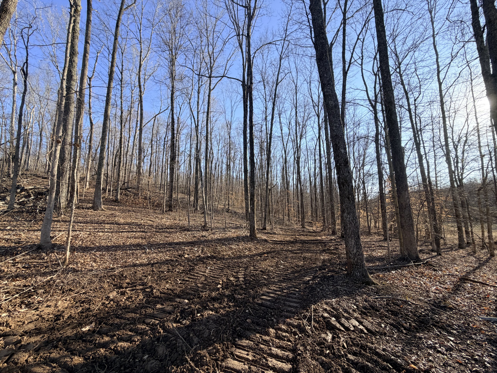 2 John Ross Hollow Road Erin, TN 37061 - Photo 29 of 36 a view of a backyard with large trees