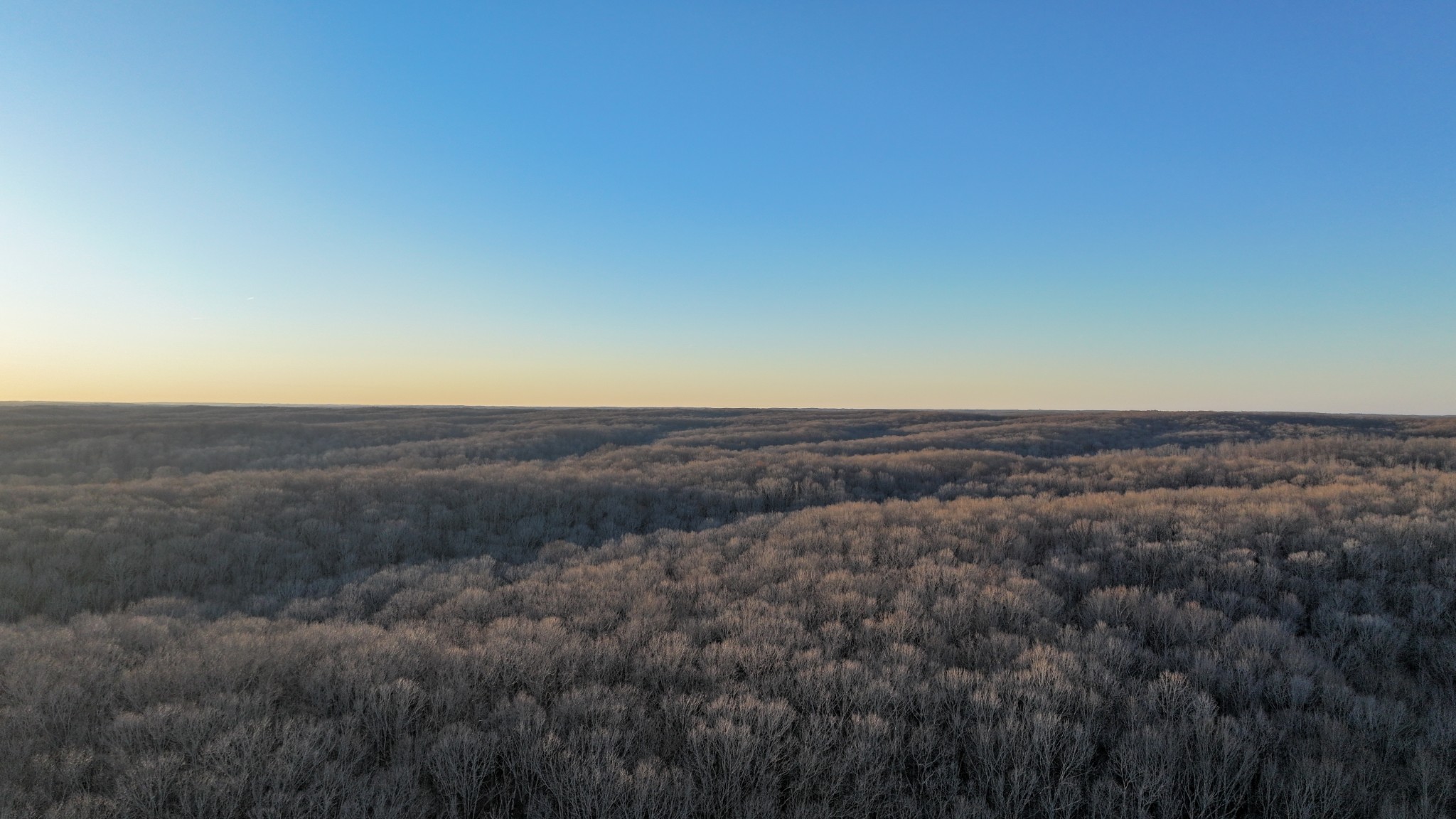 2 John Ross Hollow Road Erin, TN 37061 - Photo 32 of 36 a view of a field of grass and trees