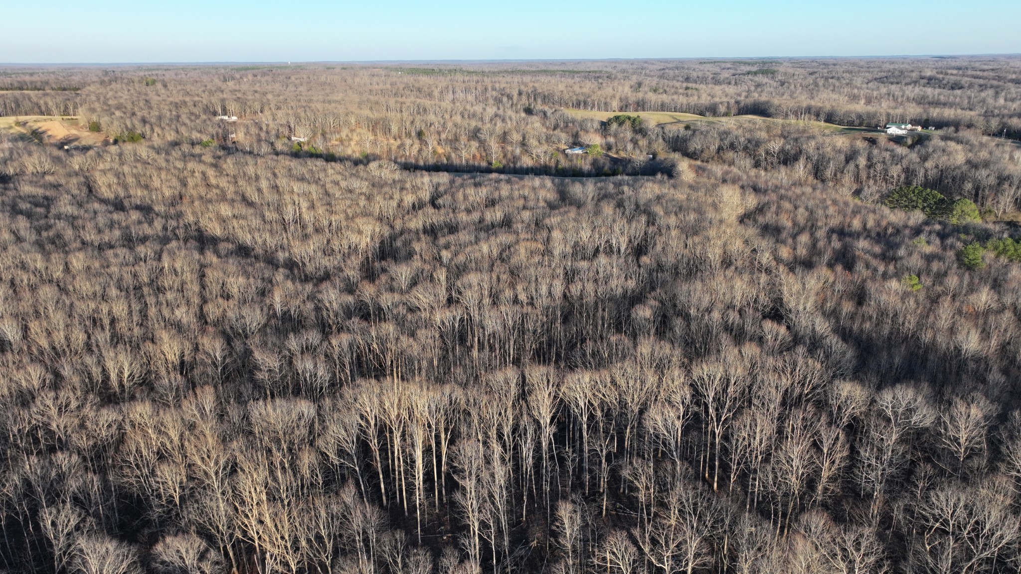 2 John Ross Hollow Road Erin, TN 37061 - Photo 35 of 36 a view of city and mountain