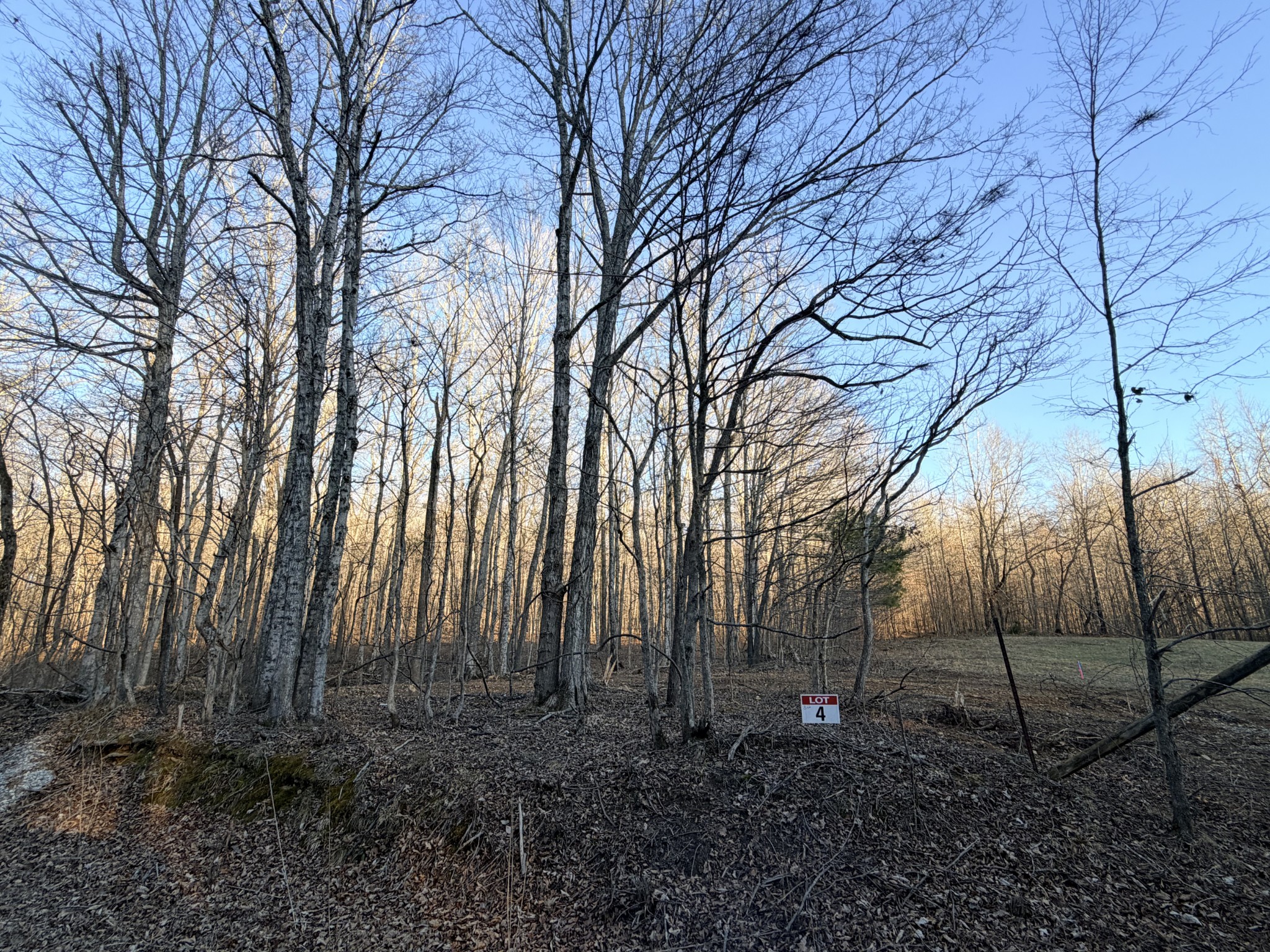 2 John Ross Hollow Road Erin, TN 37061 - Photo 36 of 36 a backyard of a house with lots of green space