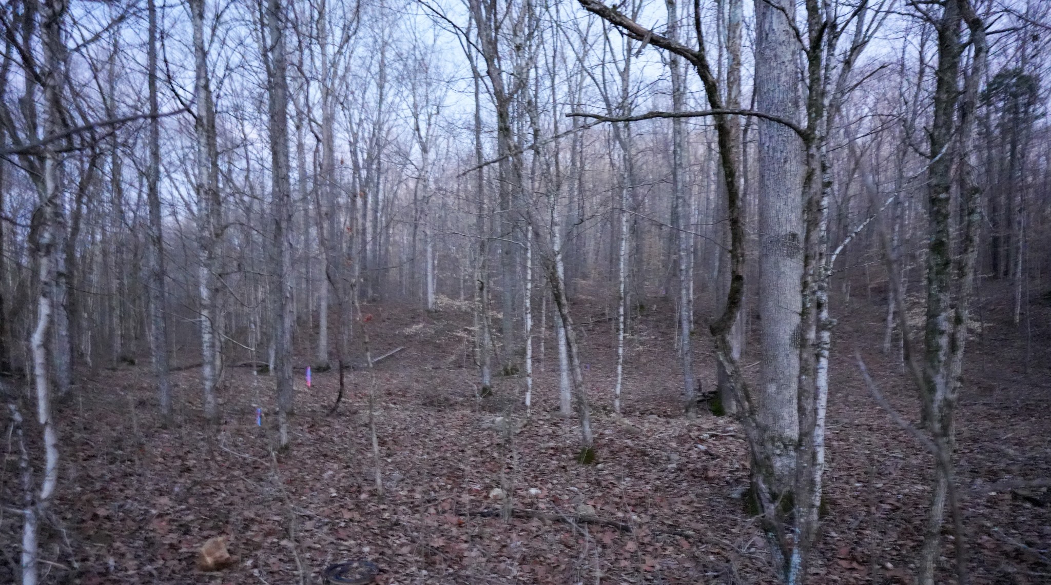 2 John Ross Hollow Road Erin, TN 37061 - Photo 4 of 36 a view of a backyard