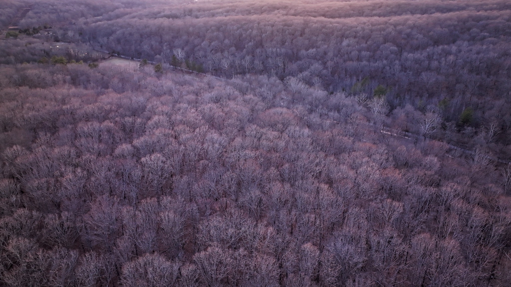 2 John Ross Hollow Road Erin, TN 37061 - Photo 6 of 36 a close view of cupboard