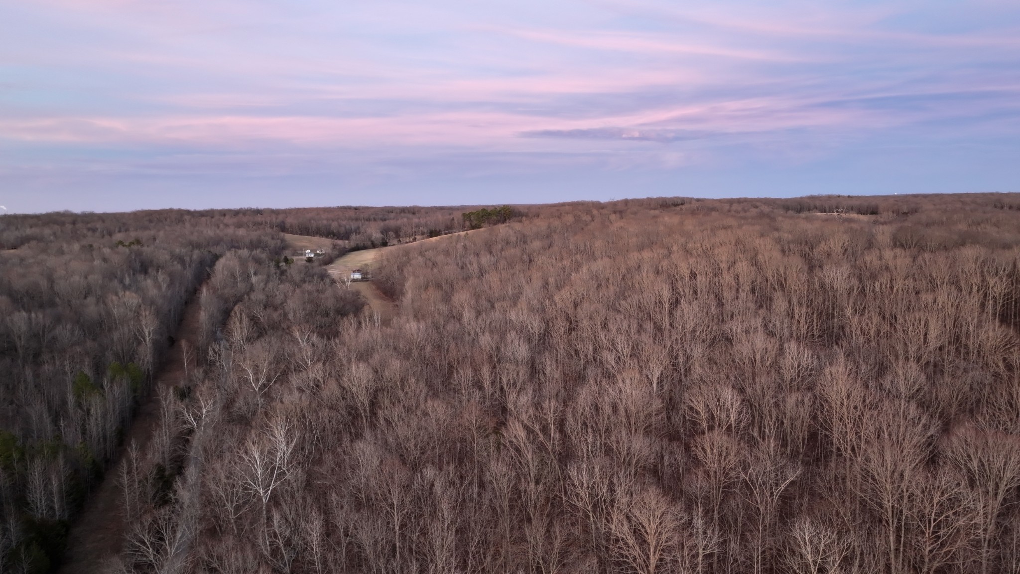 2 John Ross Hollow Road Erin, TN 37061 - Photo 7 of 36 a view of a large trees with lush green forest