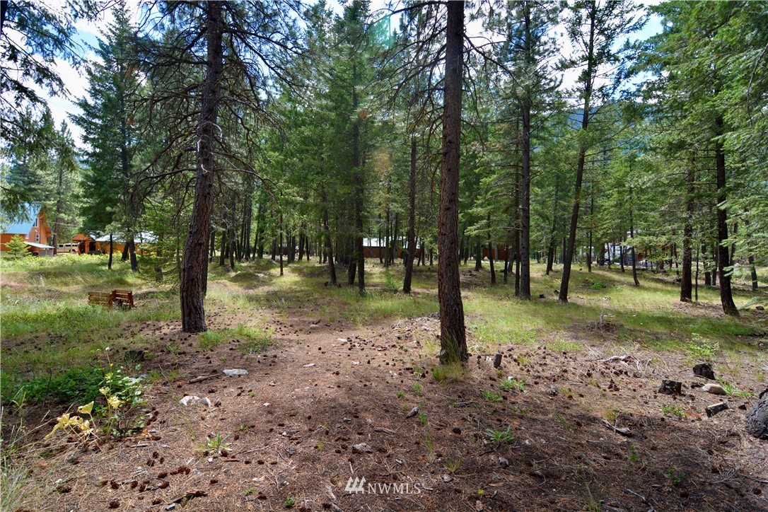 60-lot Littell Road Mazama, WA 98833 - Photo 3 of 11 Gallery Image 3