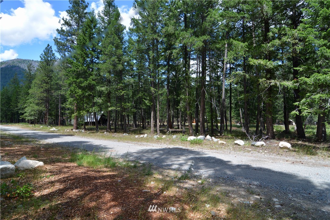 60-lot Littell Road Mazama, WA 98833 - Photo 4 of 11 Gallery Image 4