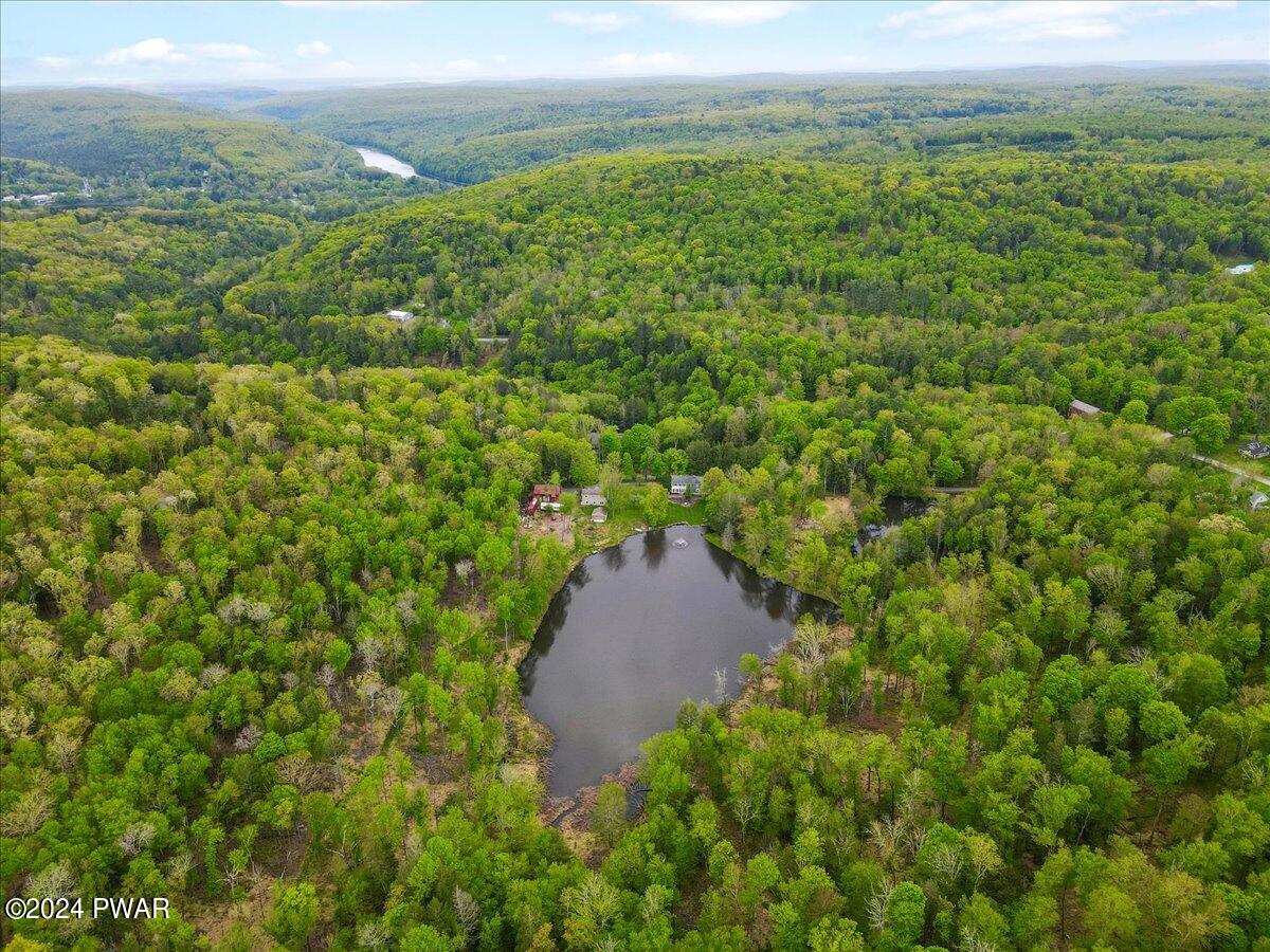 397 Plank Road Beach Lake, PA 18405 - Photo 92 of 103
