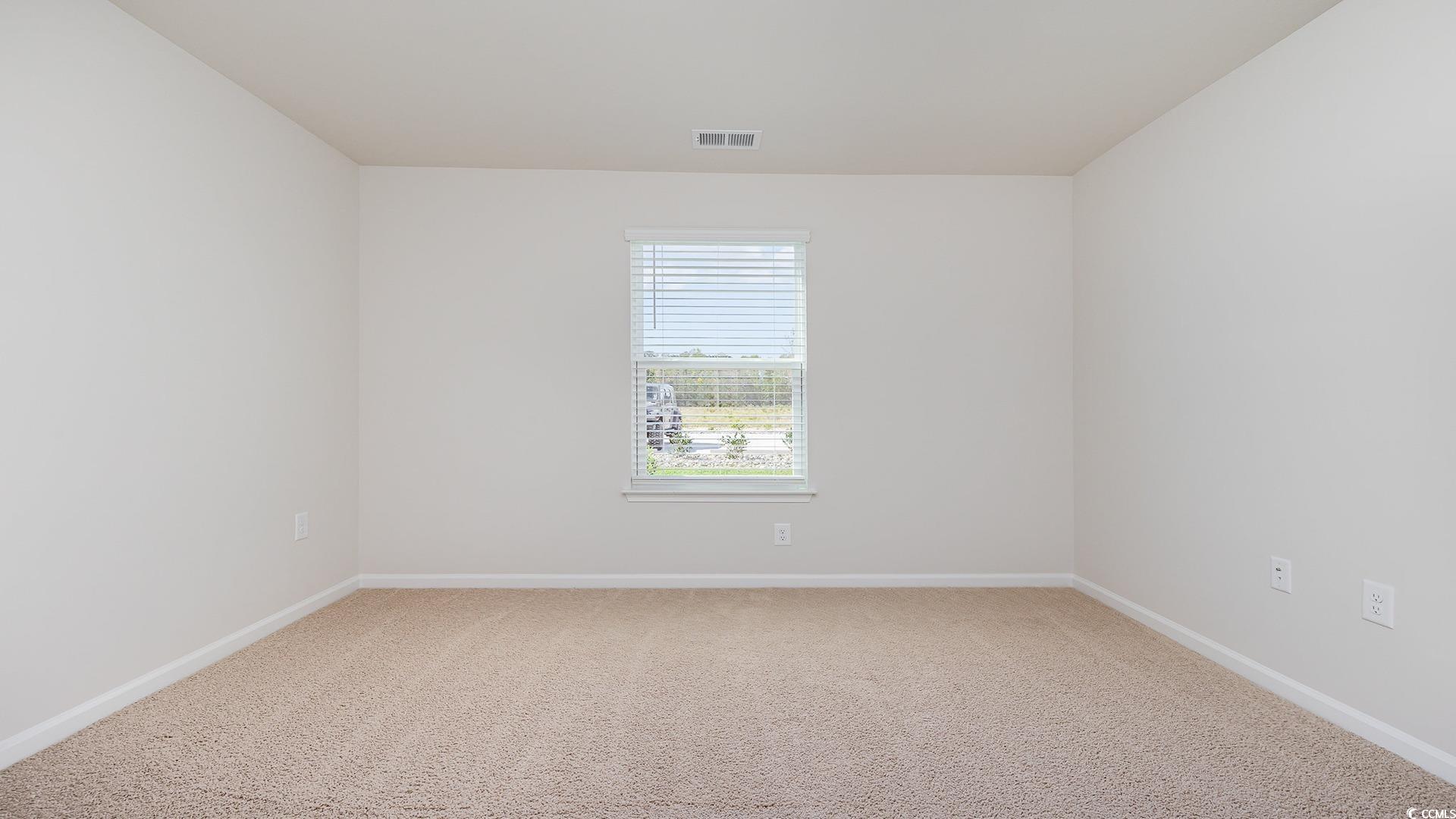 300 Long Beard Way Loris, SC 29569 - Photo 28 of 40 Spare room with carpet floors and baseboards