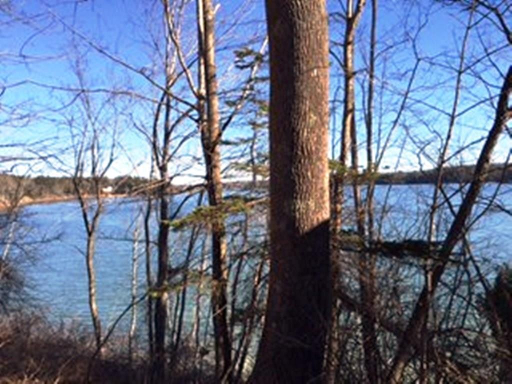 6 Riverview Road Freeport, ME 04032 - Photo 3 of 5 Photo