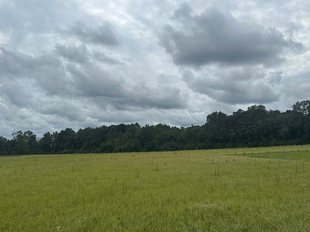 Lot 1 Hadden Road Dothan, AL 36301 - Photo 5 of 8