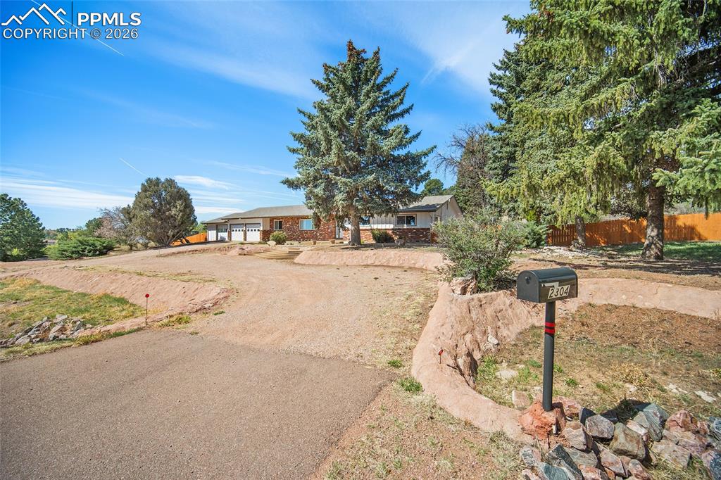 2304 Lazy R Lane Colorado Springs, CO 80915 - Photo 39 of 49 a street view covered with tall trees