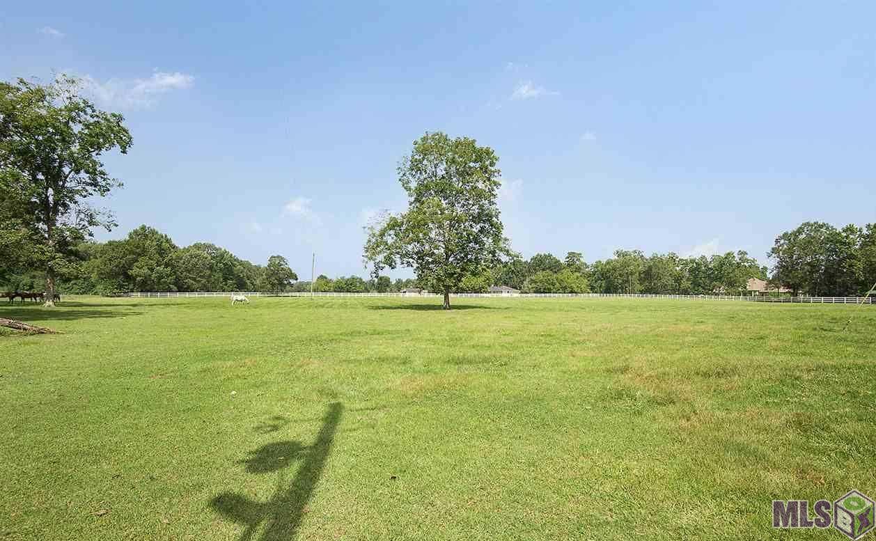 596 East Irene Road Zachary, LA 70791 - Photo 19 of 46 Gallery Image 19