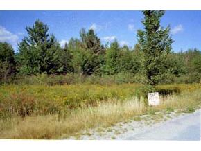 0 Isreal River Road Jefferson, NH 03583 - Photo 2 of 3 Gallery Image 2