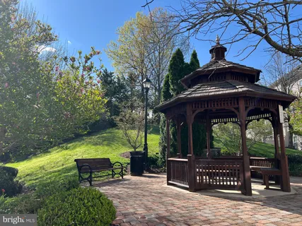 a view of a yard with large trees