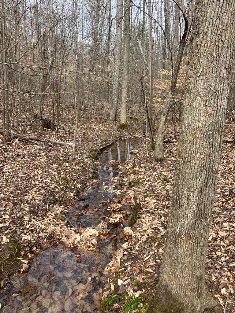 213 Wynn Ferry Road Big Sandy, TN 38221 - Photo 7 of 11