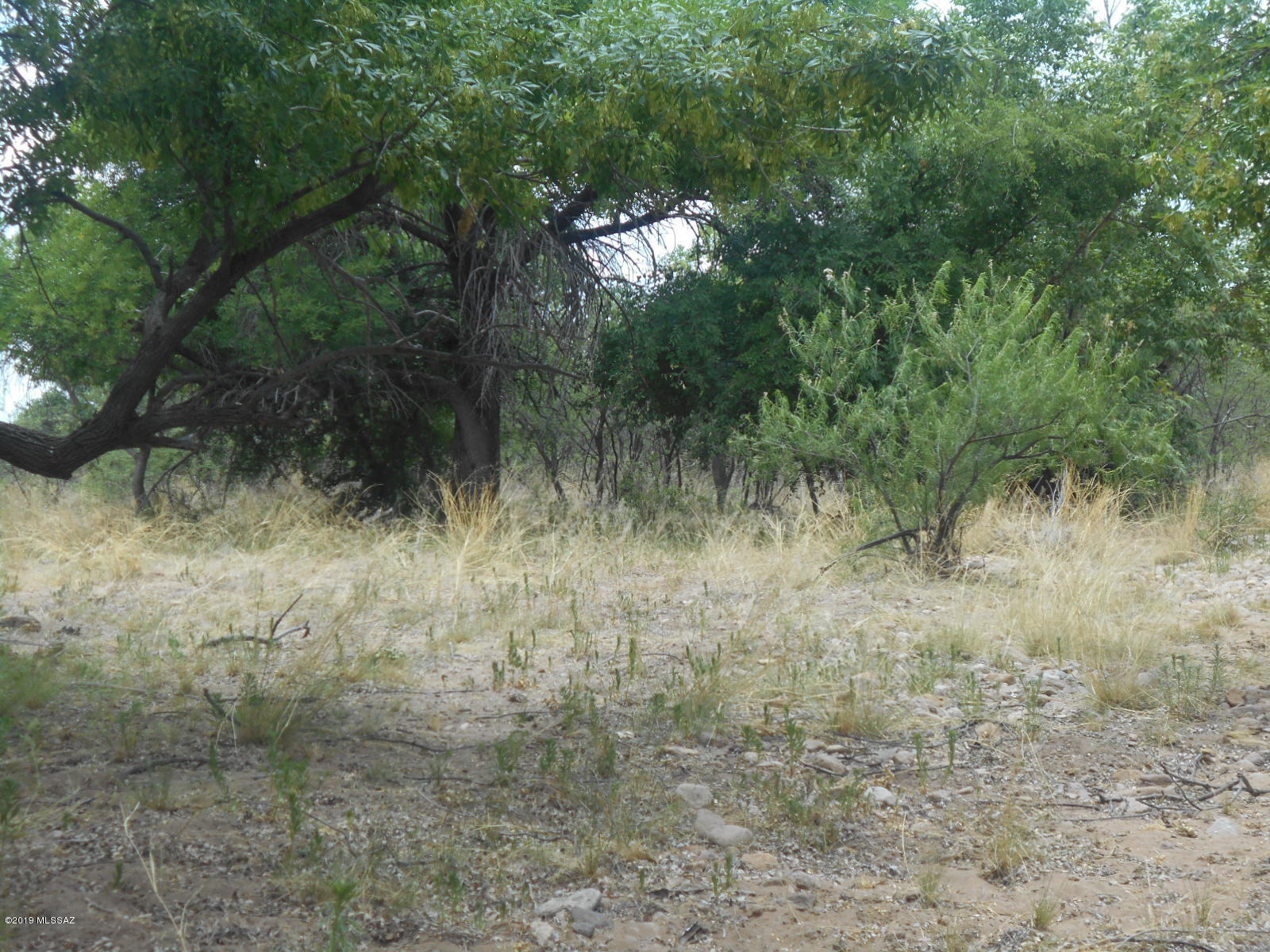 East Walnut Trail Pearce, AZ 85625 - Photo 23 of 47