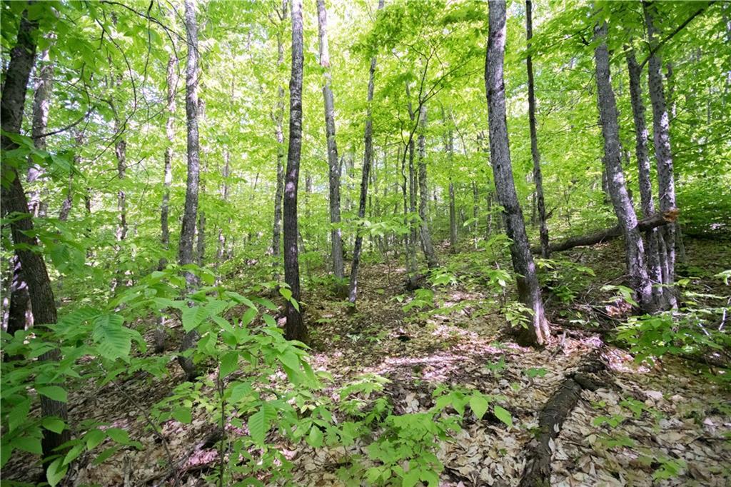 On Jalbert Road Fort Kent, ME 04743 - Photo 22 of 26 Land