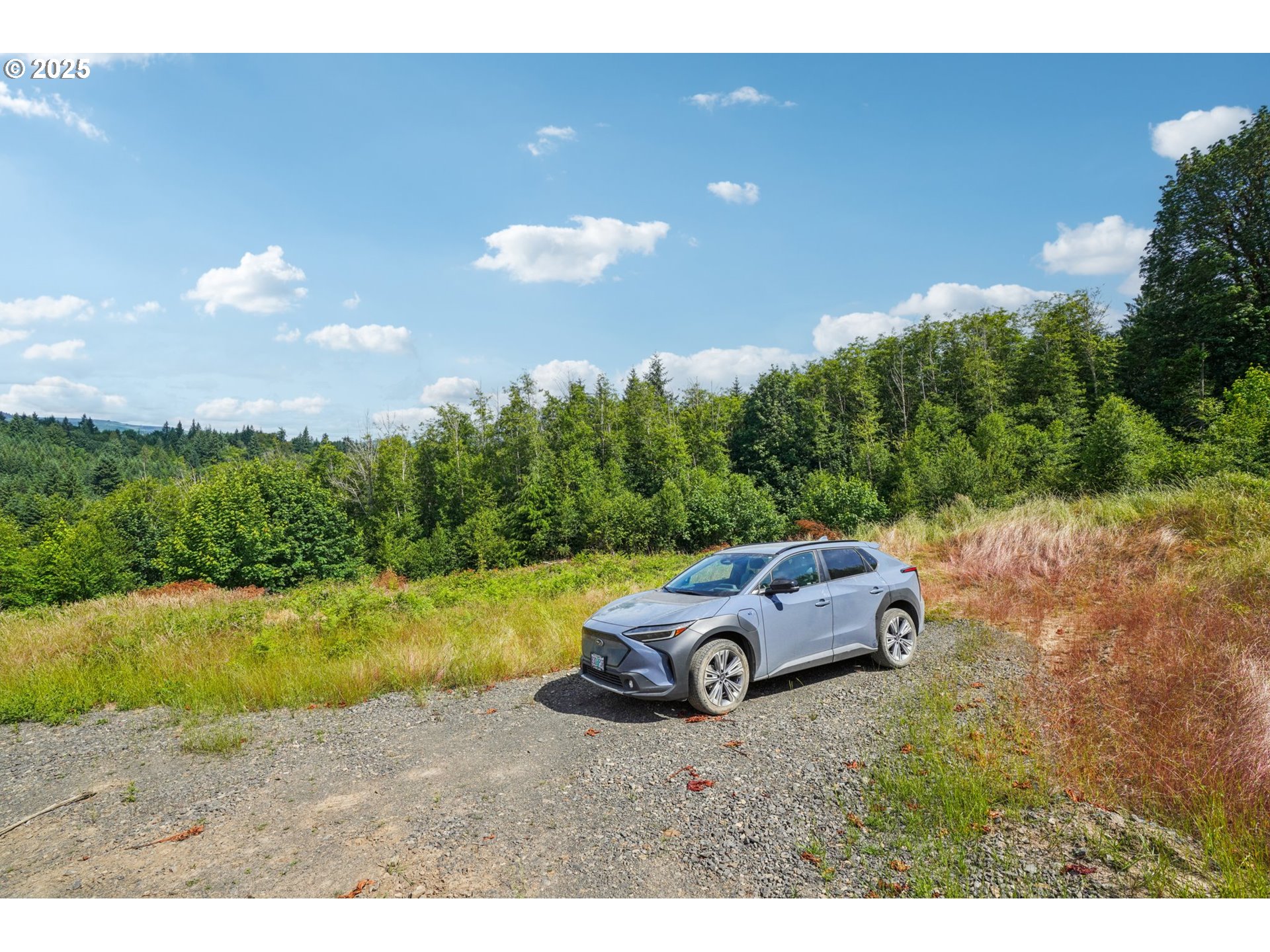 1830 Hazel Dell Road, Unit LOT 1 Castle Rock, WA 98611 - Photo 12 of 14