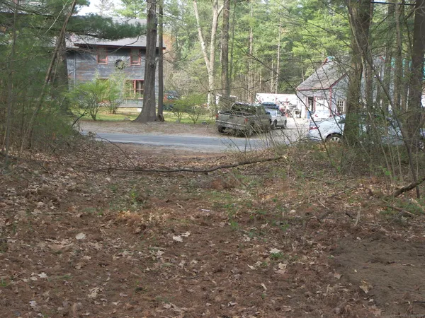 a view of a forest with trees in the background