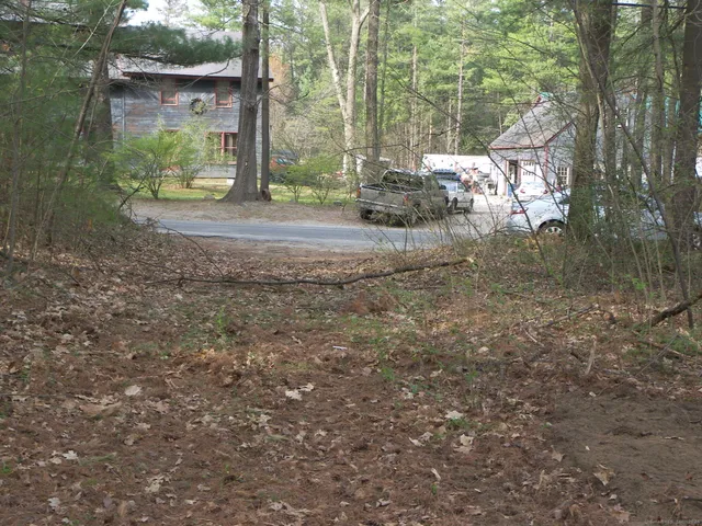 a view of a forest with trees in the background