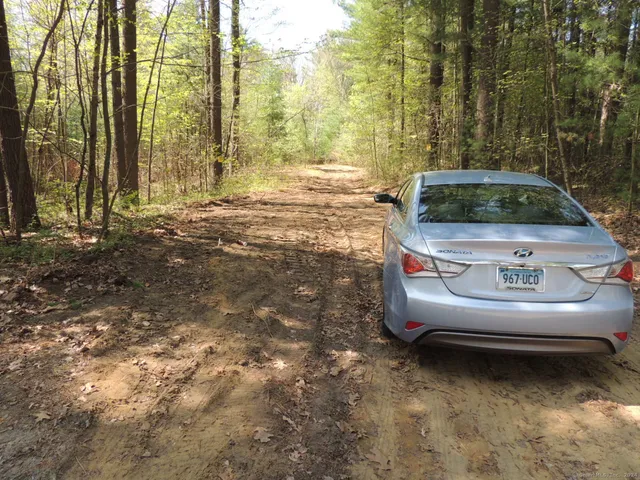 a view of a yard with large trees