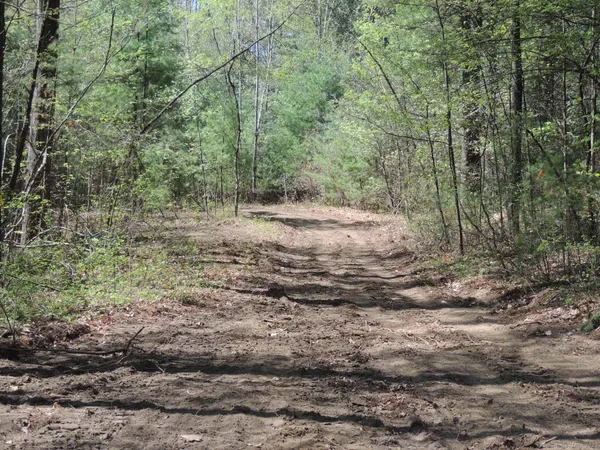 a view of dirt yard with a trees