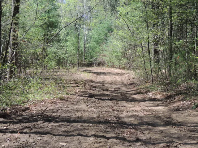 a view of dirt yard with a trees