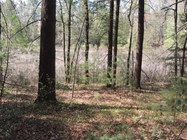 $110,000 | 730 Clayton Road, Sheffield, MA 01222