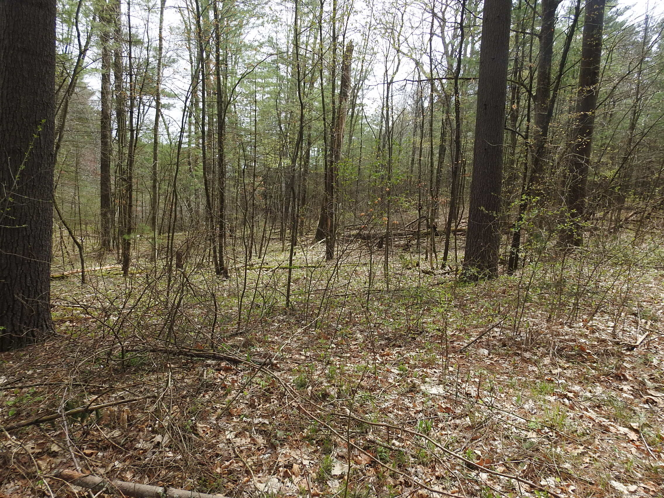 730 Clayton Road Sheffield, MA 01222 - Photo 2 of 21