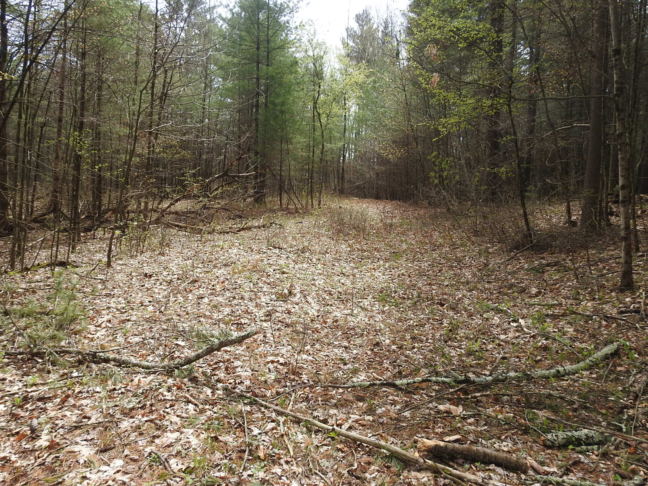 730 Clayton Road Sheffield, MA 01222 - Photo 3 of 21