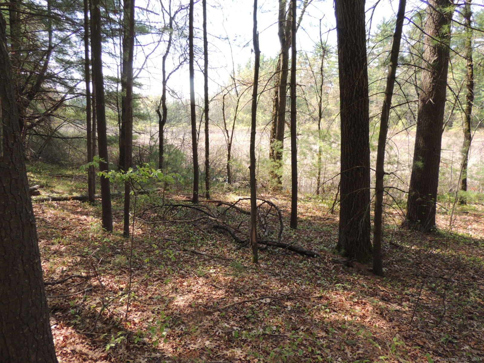 730 Clayton Road Sheffield, MA 01222 - Photo 4 of 21