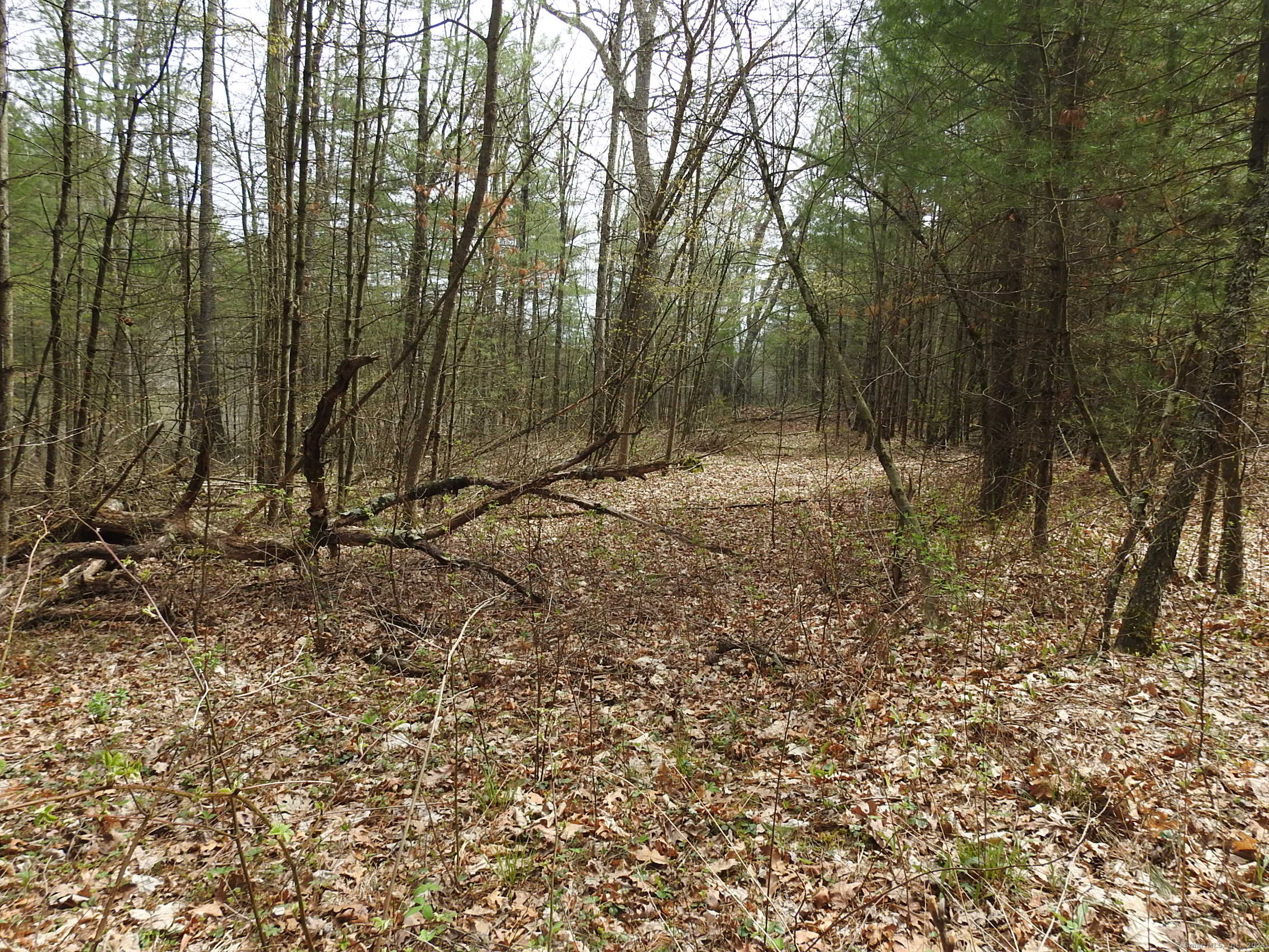 730 Clayton Road Sheffield, MA 01222 - Photo 5 of 21