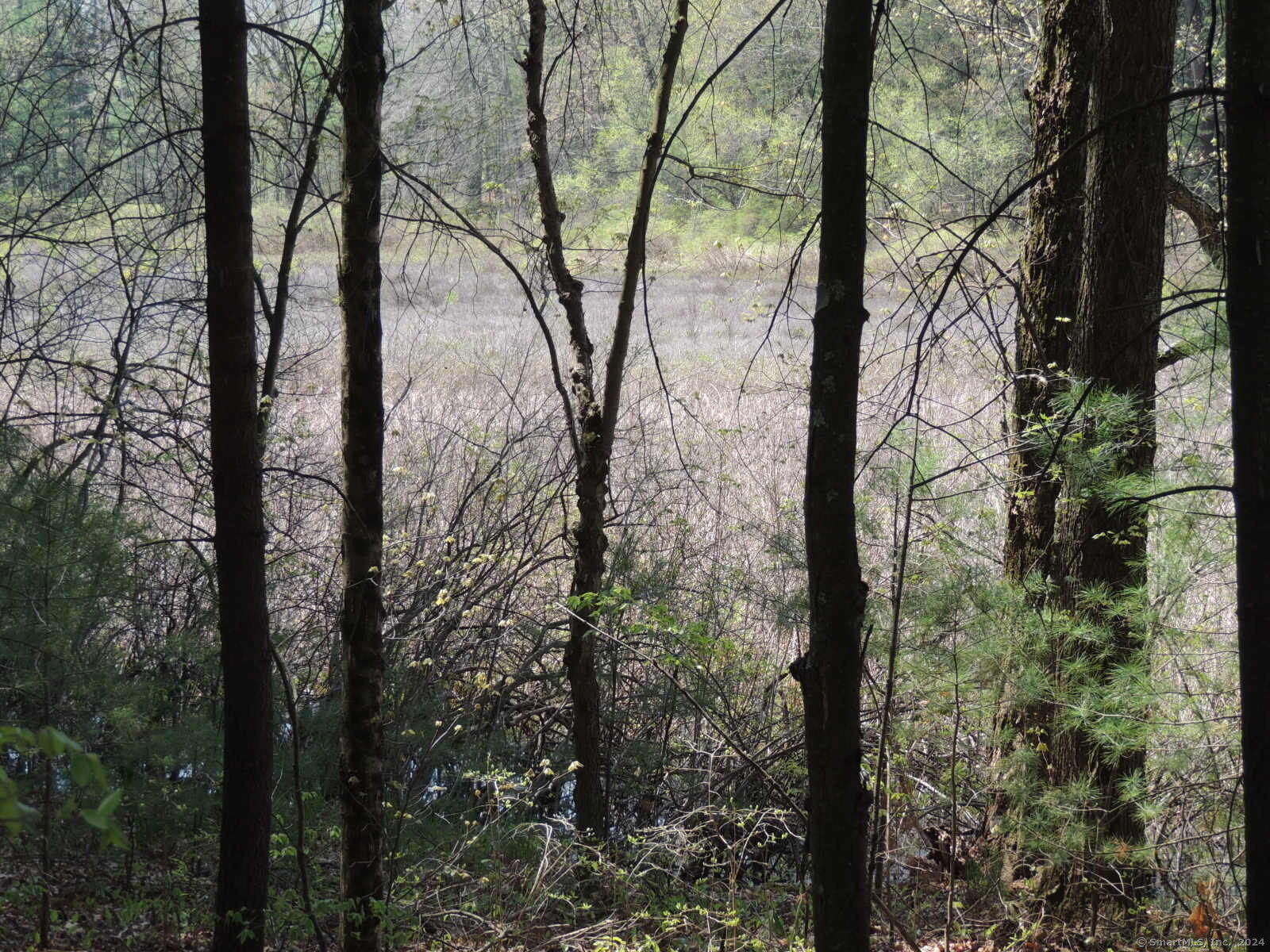 730 Clayton Road Sheffield, MA 01222 - Photo 6 of 21