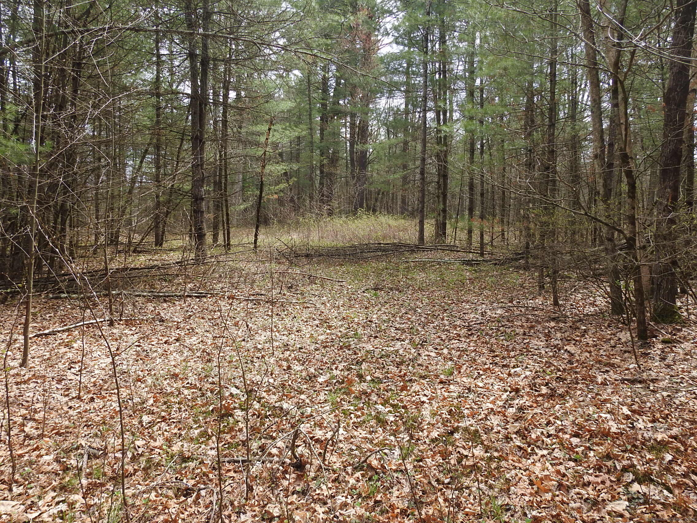 730 Clayton Road Sheffield, MA 01222 - Photo 7 of 21