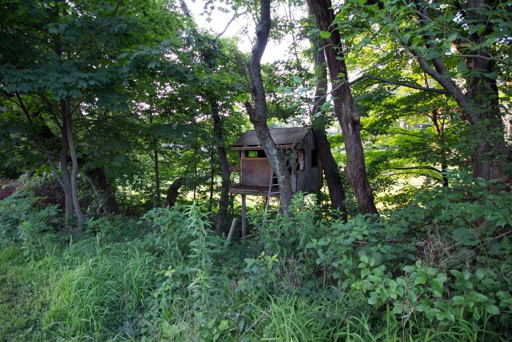 6145 Outville Road Southwest Pataskala, OH 43062 - Photo 35 of 38 Gallery Image 35