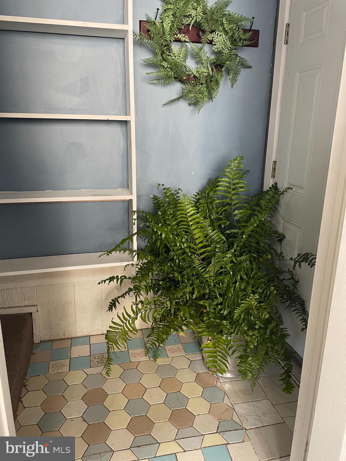 29 West Broadway Maple Shade, NJ 08052 - Photo 28 of 35 a close up of a plant