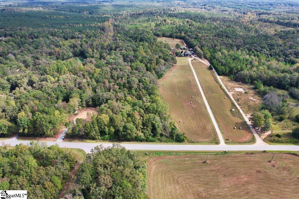 0 Highway 201 Iva, SC 29655 - Photo 13 of 16