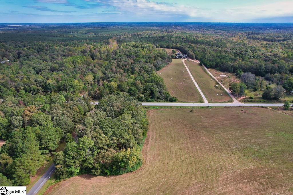 0 Highway 201 Iva, SC 29655 - Photo 15 of 16