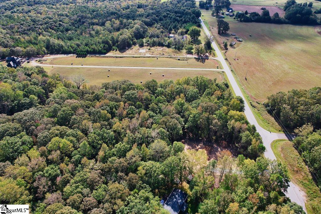 0 Highway 201 Iva, SC 29655 - Photo 7 of 16