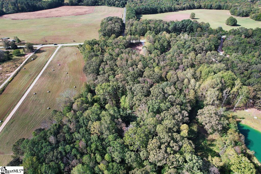 0 Highway 201 Iva, SC 29655 - Photo 9 of 16