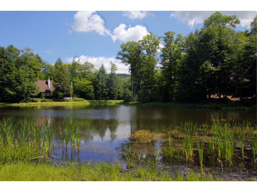 54 Hilltop Road, Unit 54 Winhall, VT 05340 - Photo 14 of 14