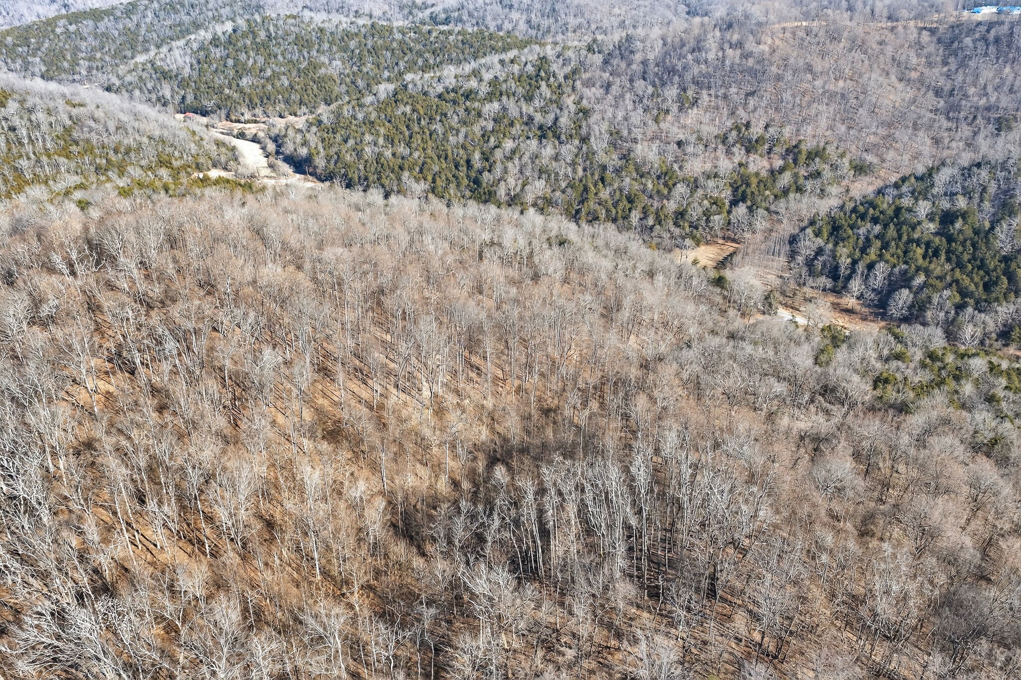 515 Big Branch Road Granville, TN 38564 - Photo 41 of 47 Gallery Image 41