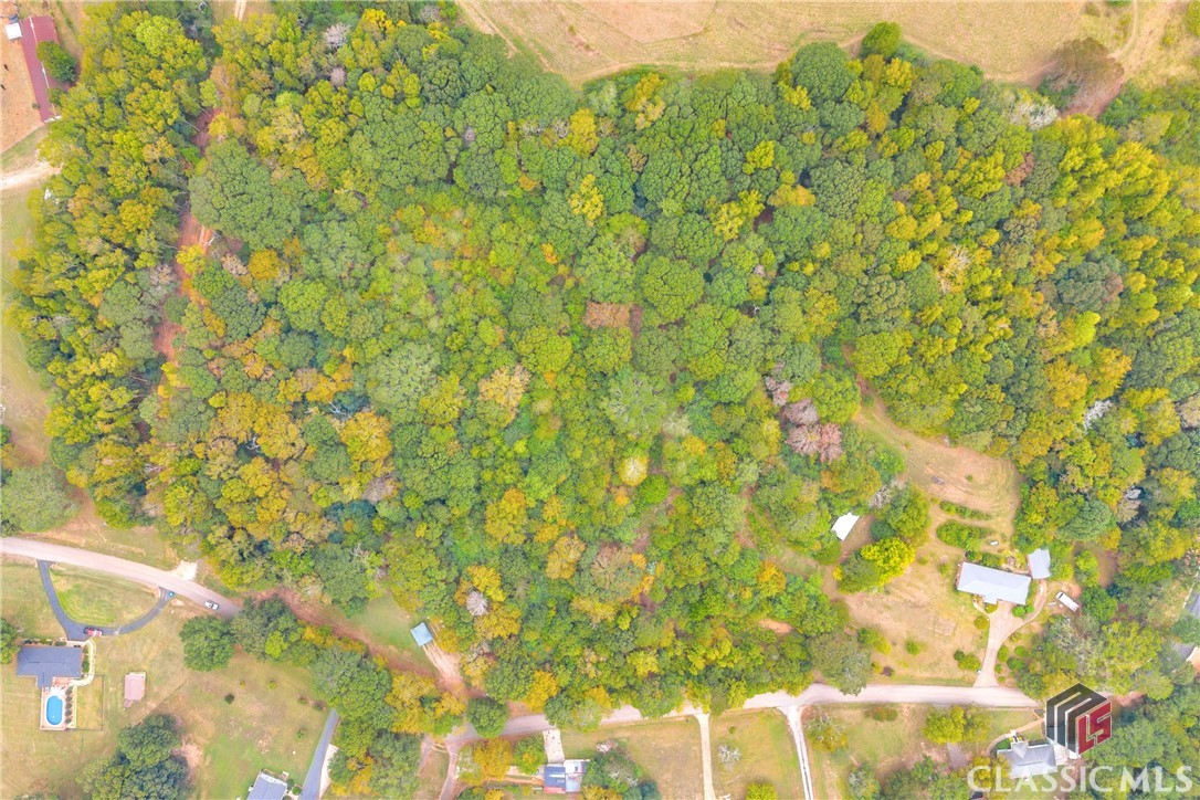 0 Cedar Nicholson, GA 30565 - Photo 5 of 17