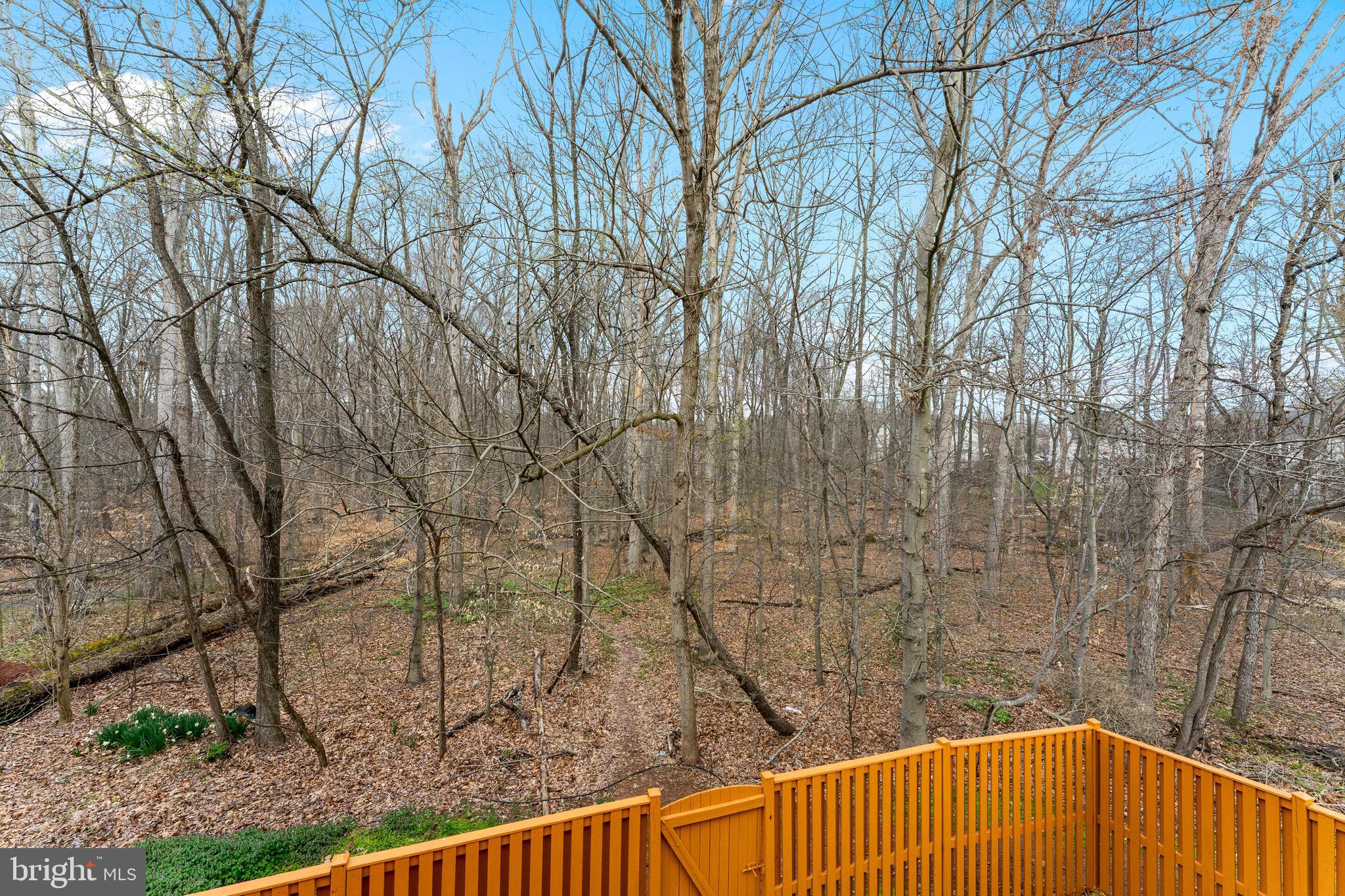 14846 Basingstoke Loop Centreville, VA 20120 - Photo 29 of 33