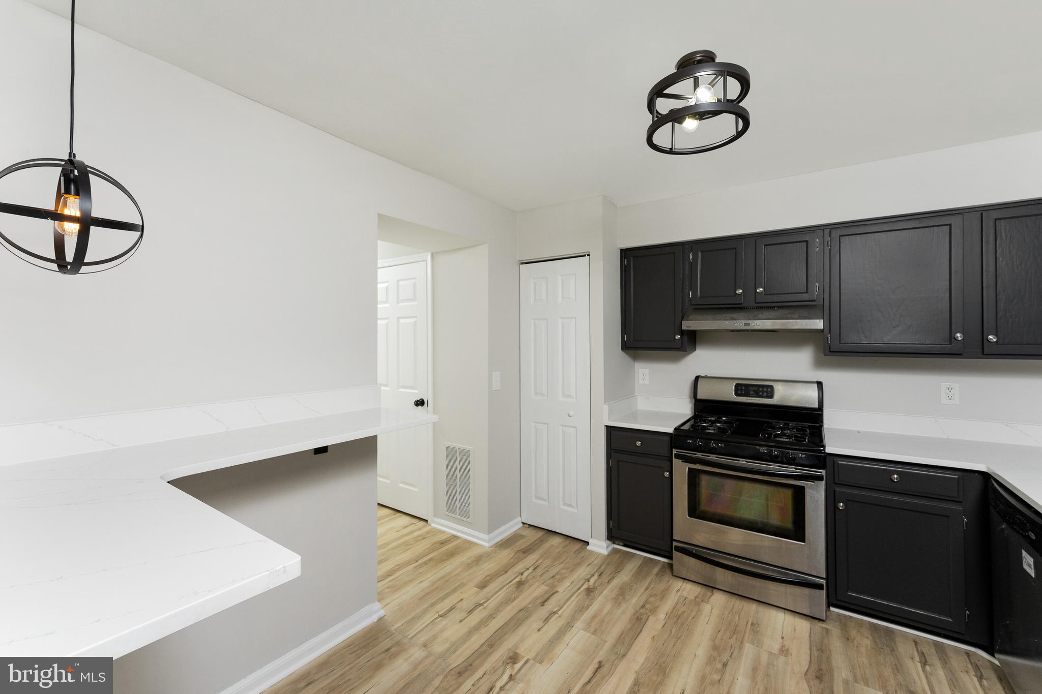 14846 Basingstoke Loop Centreville, VA 20120 - Photo 10 of 33