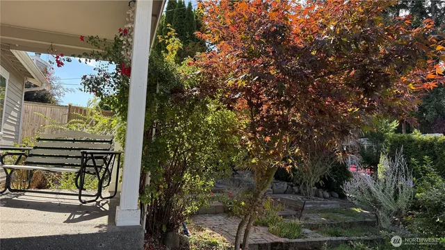 a view of a door and tree in front of it