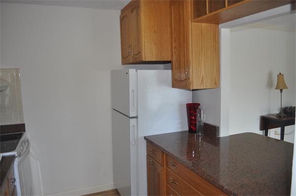 18 Hamilton Road, Unit 307 Arlington, MA 02474 - Photo 6 of 10 Gallery Image 6