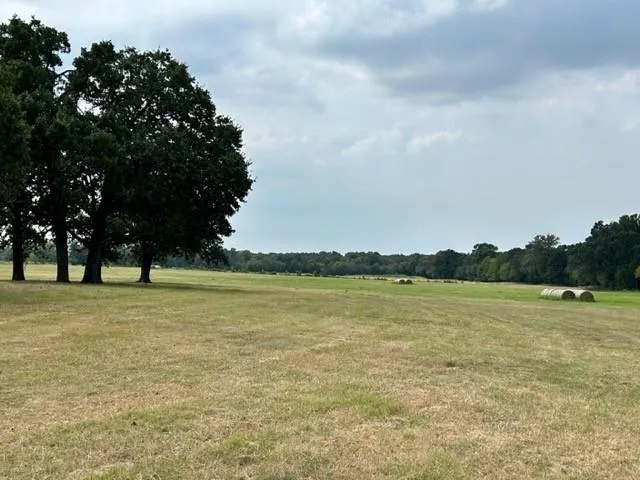 a view of an ocean and beach