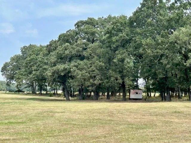 a view of outdoor space with trees